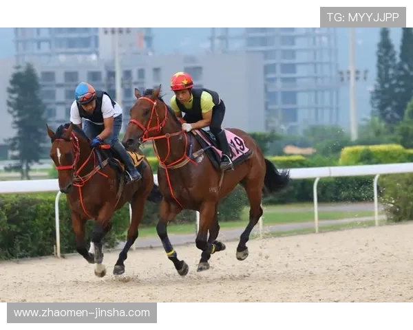 掌握澳门赛马会赛事最新动态，提供专业的赛事资讯分析与赛马比赛精彩内容