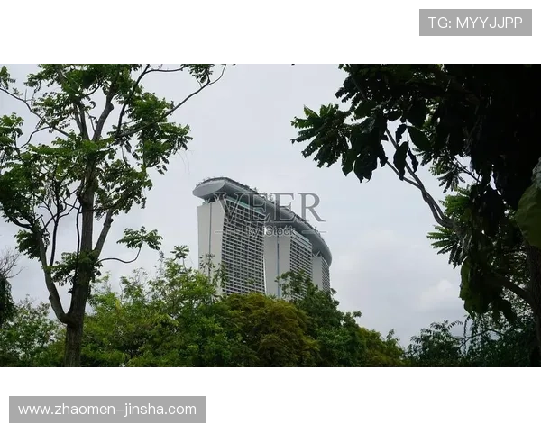 新加坡滨海湾金沙酒店赌场的历史与发展，了解亚洲最具代表性的娱乐中心
